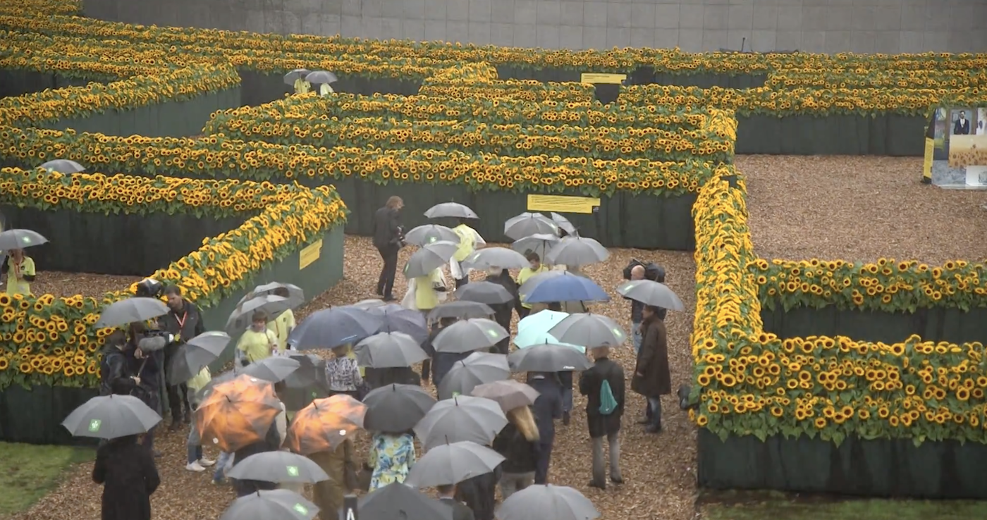 Tournesols Van Gogh Museum Un impressionnant labyrinthe de tournesols installé devant le musée Van